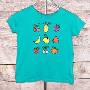 Hanna Andersson Velvet Fruit T-Shirt Size 10 (140)